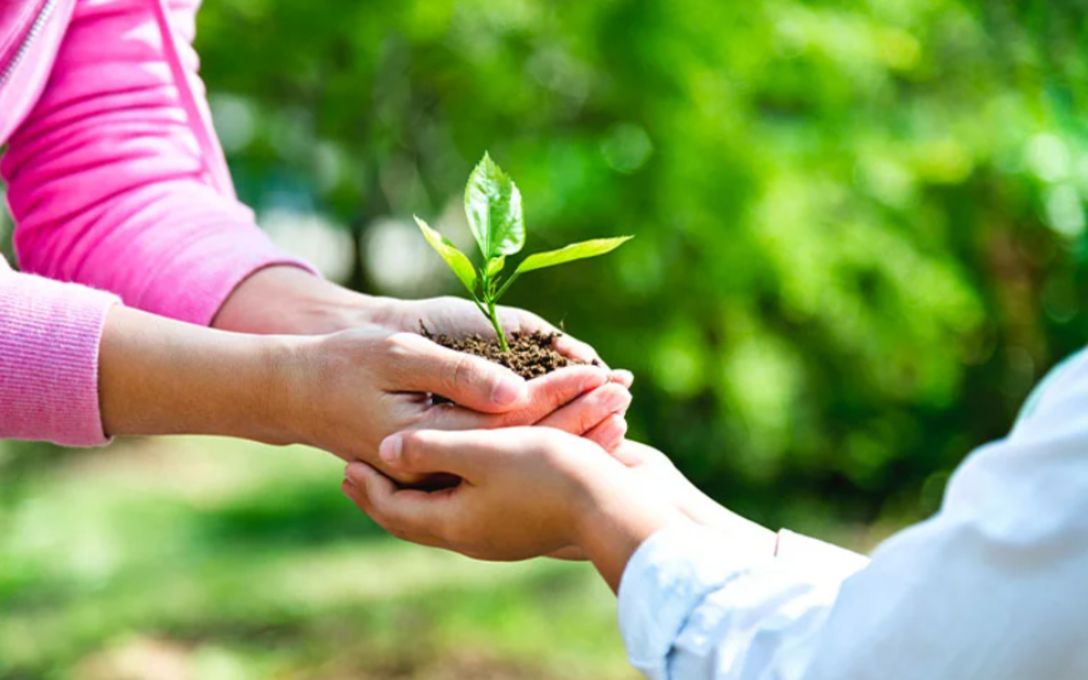 MOBILIDADE SUSTENTÁVEL

Ambiente, Pessoas, Inovação e Digitalização